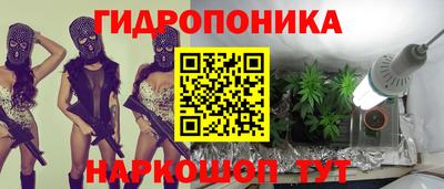 2c-b Лесосибирск